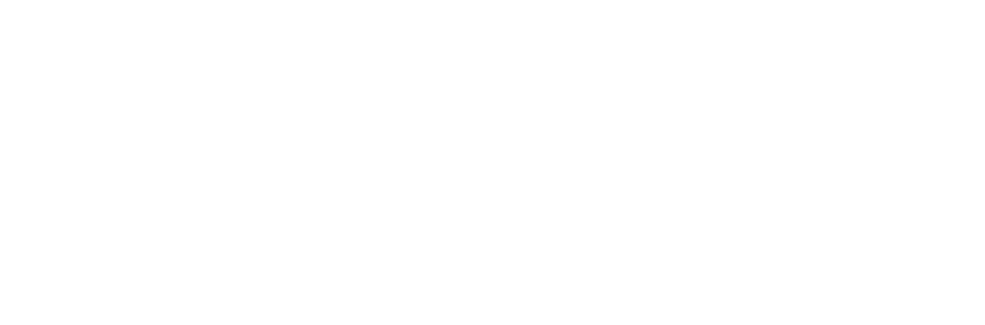logo-team-blanco