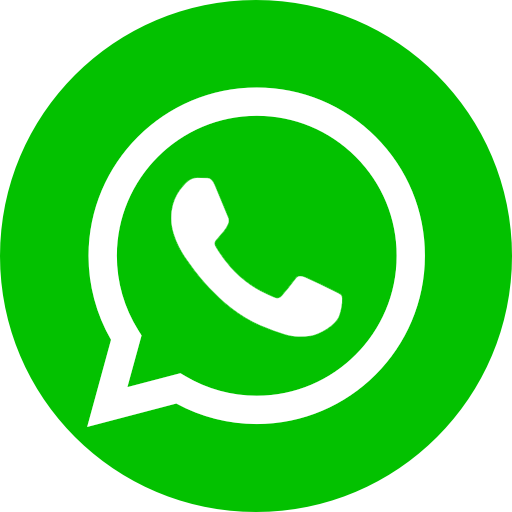 icone-du-logo-whatsapp-vert