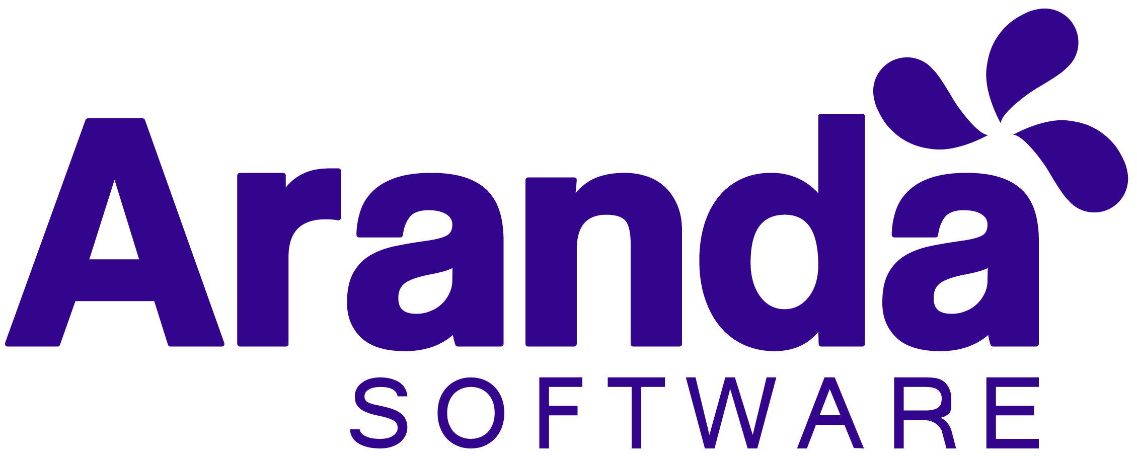 Aranda Software en team