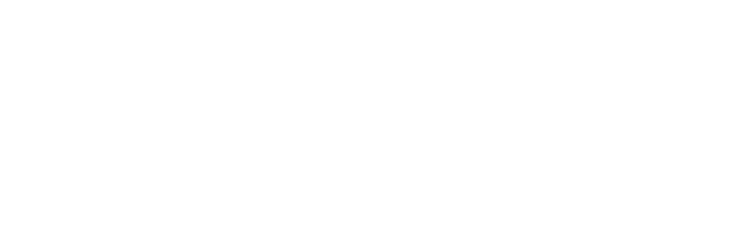 logoteamblanco-02-3