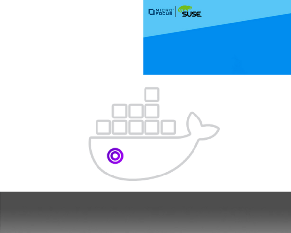 microfocuscontenedores.png