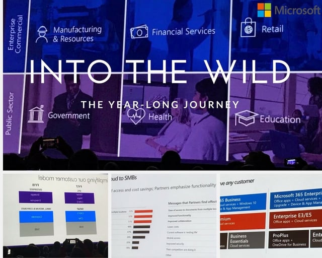 the year-long journey.jpg